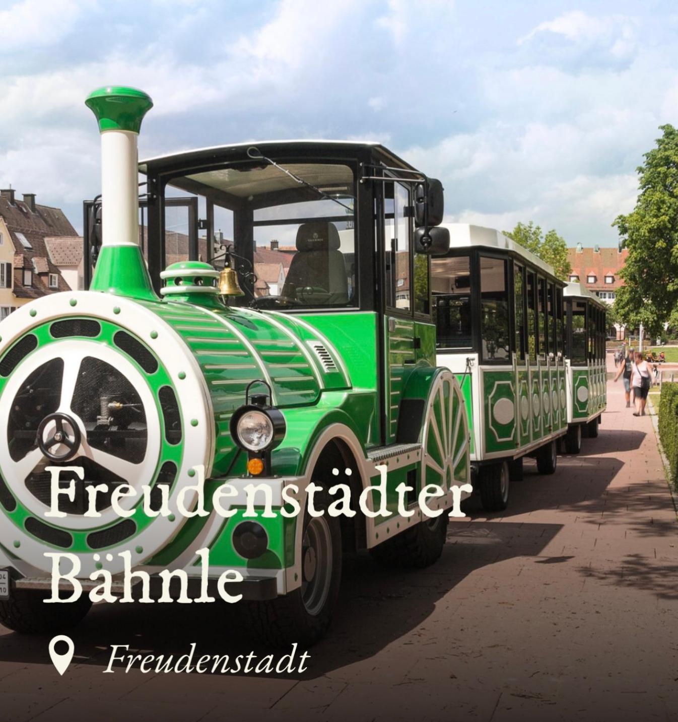 Ferienwohnung Schwarzwald Tannenzaepfle 바이에르스브론 외부 사진