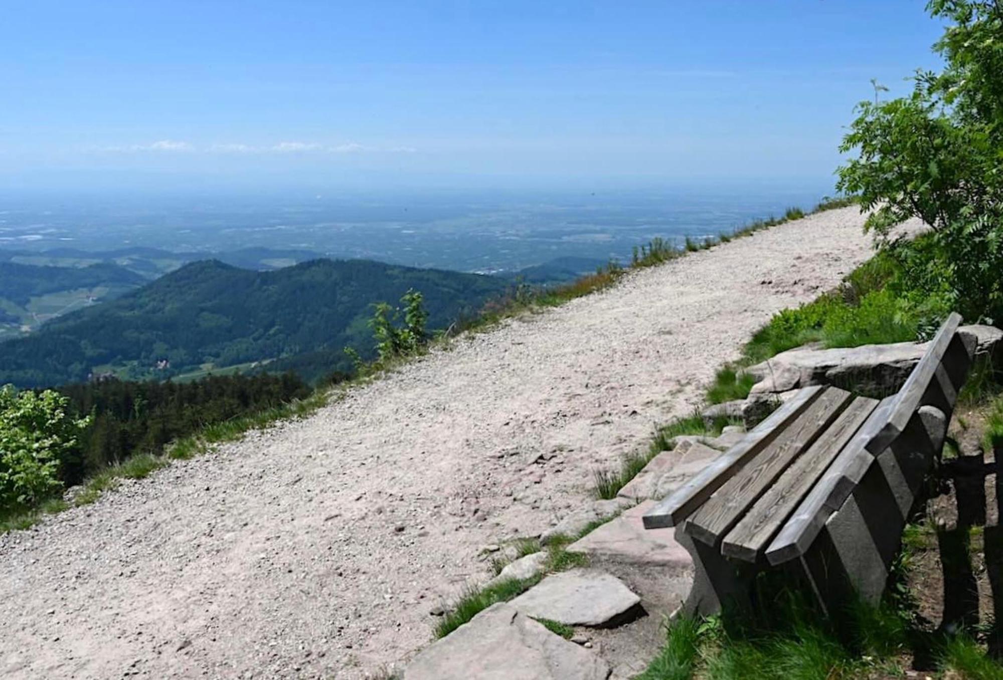 Ferienwohnung Schwarzwald Tannenzaepfle 바이에르스브론 외부 사진